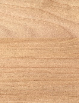 Гетерогенный линолеум Taraflex Surface Wood